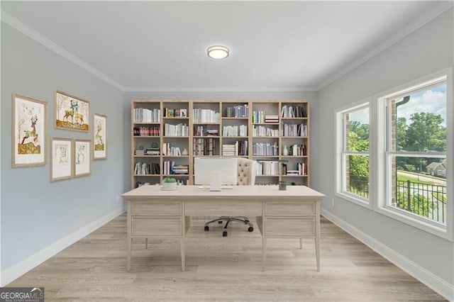 1226 Bloomsbury Ln, Gainesville, GA 30501 - office with ornamental molding and light wood finished floors