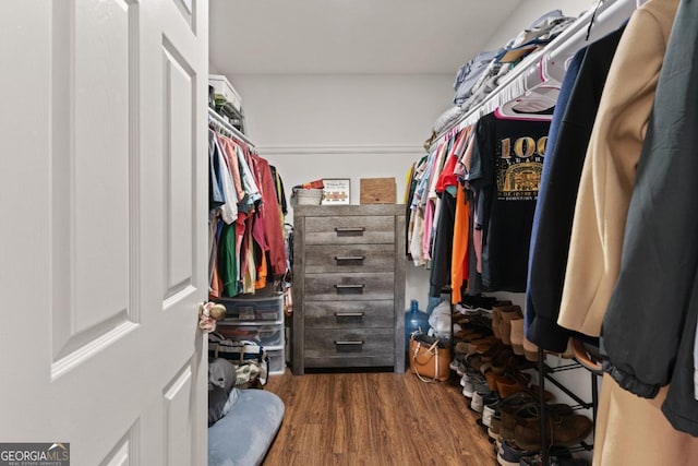 825 Red Hawk Dr, Waynesville, GA 31566 - spacious closet with wood finished floors