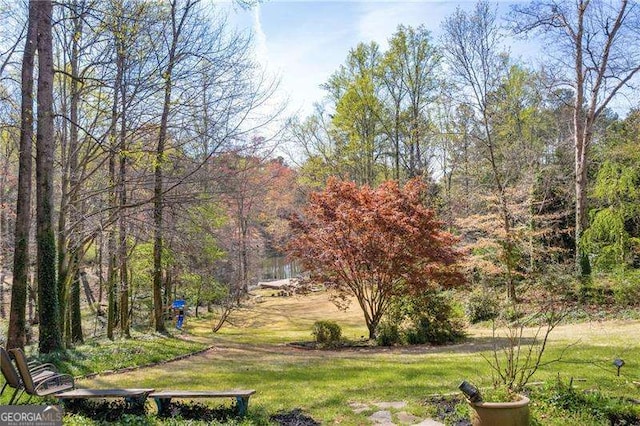 10845 Shallowford Rd, Roswell, GA 30075 - view of green lawn featuring a view of trees