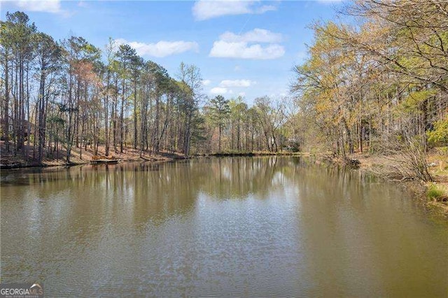 10845 Shallowford Rd, Roswell, GA 30075 - water view with a forest