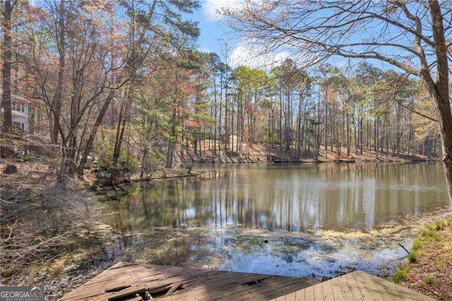 10845 Shallowford Rd, Roswell, GA 30075 - dock featuring a water view