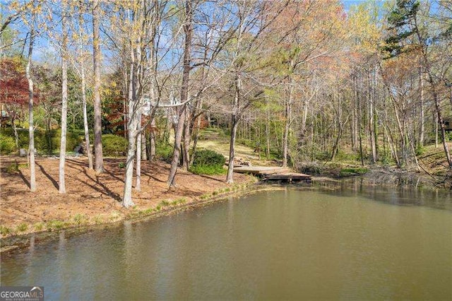 10845 Shallowford Rd, Roswell, GA 30075 - water view