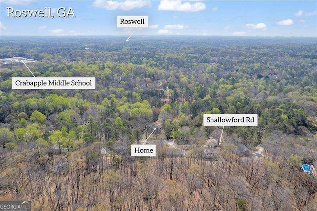 10845 Shallowford Rd, Roswell, GA 30075 - bird's eye view of a heavily wooded area