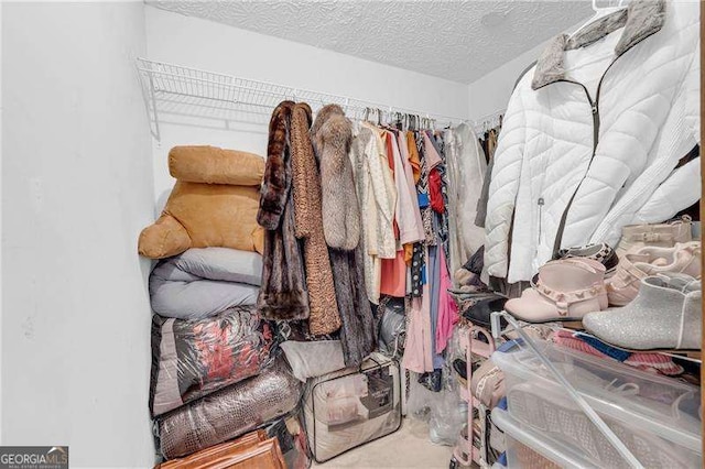 10845 Shallowford Rd, Roswell, GA 30075 - view of walk in closet