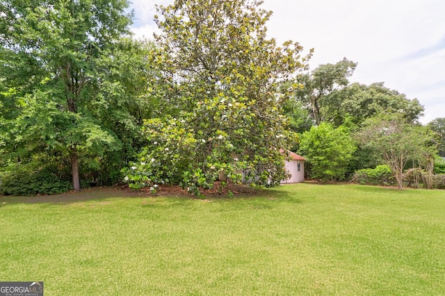 101 Coldbrook Cir, Rincon, GA 31326 - view of green lawn