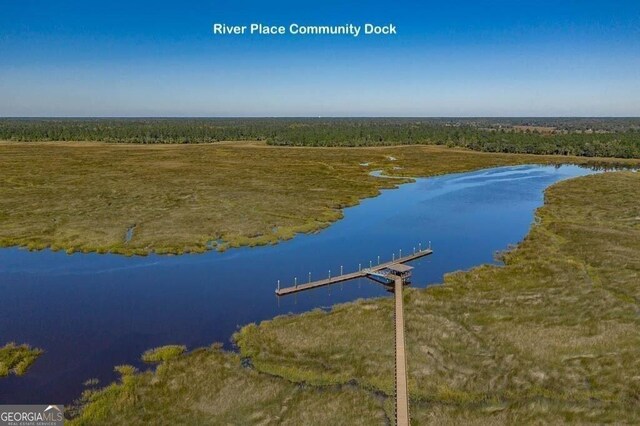 LOT23-D Black Tern Way, Waverly, GA 31565