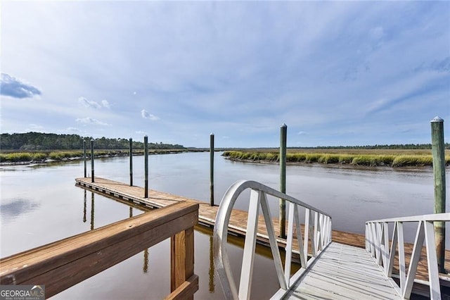 LOT23-D Black Tern Way, Waverly, GA 31565