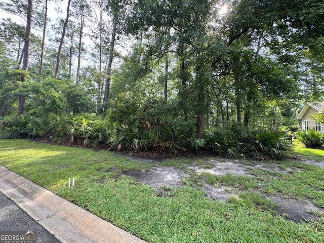 LOT23-D Black Tern Way, Waverly, GA 31565