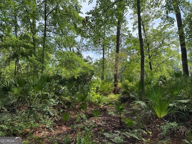 LOT23-D Black Tern Way, Waverly, GA 31565