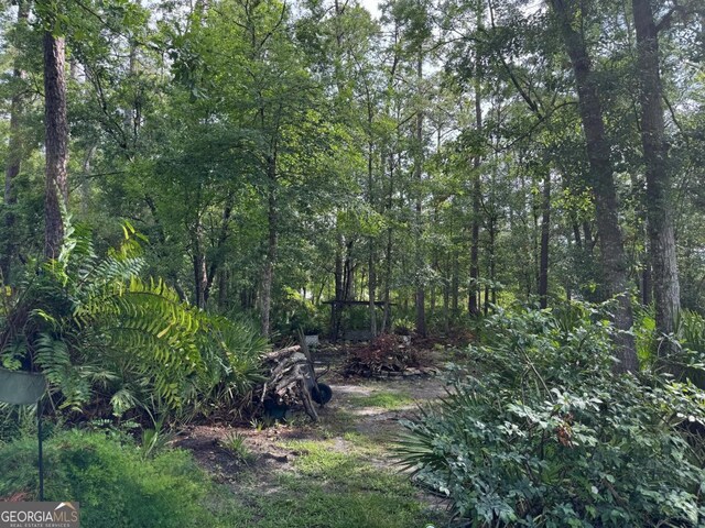 LOT23-D Black Tern Way, Waverly, GA 31565
