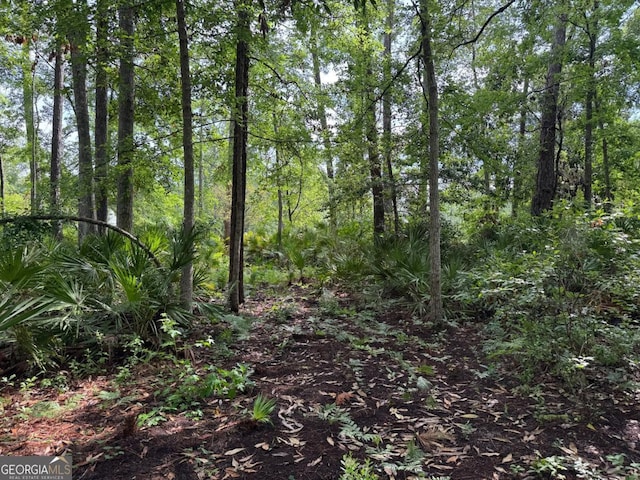 LOT23-D Black Tern Way, Waverly, GA 31565