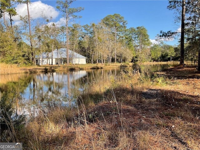 LOT23-D Black Tern Way, Waverly, GA 31565