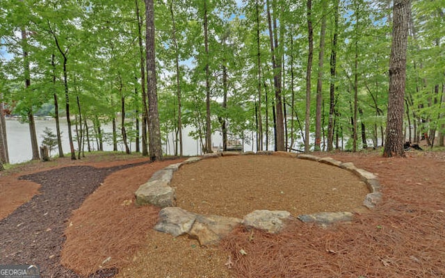 340 Currahee Trl, Toccoa, GA 30577 - view of yard
