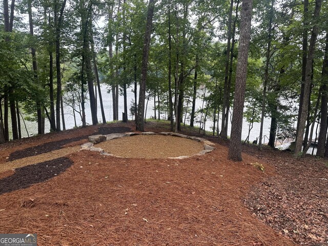 340 Currahee Trl, Toccoa, GA 30577 - view of yard