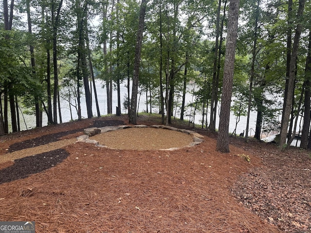 340 Currahee Trl, Toccoa, GA 30577 - view of yard