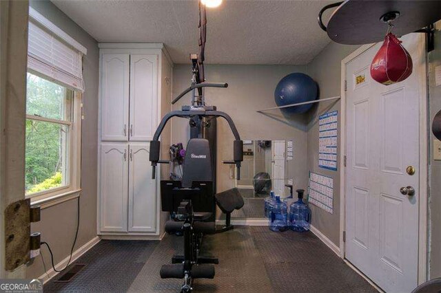 34 Sassafras Grv, Dawsonville, GA 30534 - workout area featuring baseboards, plenty of natural light, and a textured ceiling