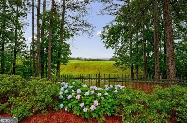 7 Hogan Ln NW, Rome, GA 30165 - view of yard