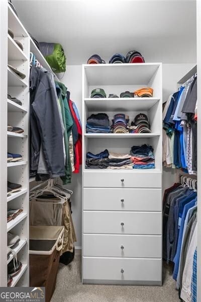 10735 Pinewalk Forest Cir, Alpharetta, GA 30022 - walk in closet featuring carpet floors