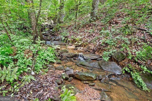 4402 Windsor Oaks Chase, Marietta, GA 30066 - view of local wilderness