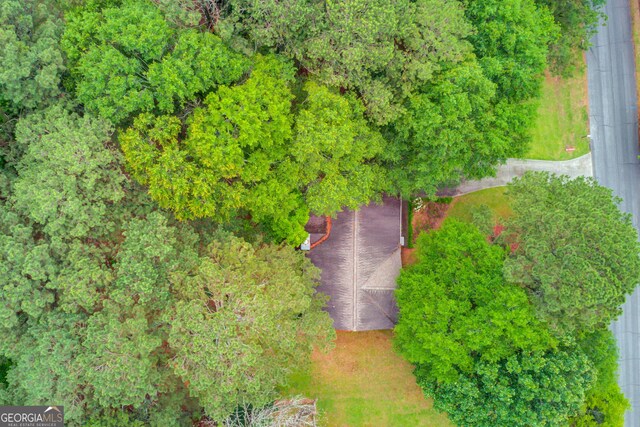 2088 Blackberry Ln, Auburn, GA 30011