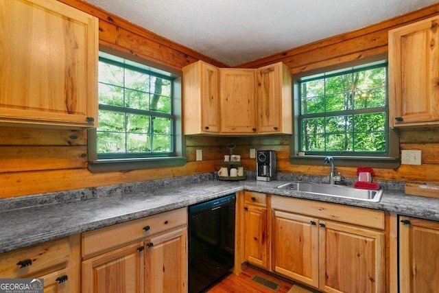 488 S Lemmon Ln Unit 289, Ellijay, GA 30540 - kitchen with black dishwasher, plenty of natural light, wood finished floors, and dark countertops