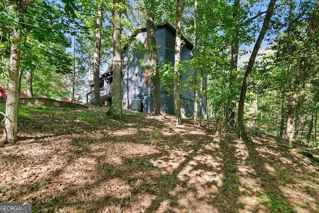 488 S Lemmon Ln Unit 289, Ellijay, GA 30540 - view of nature