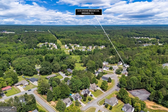 1133 Stone Brook Ln, Bremen, GA 30110 - drone / aerial view of a forest
