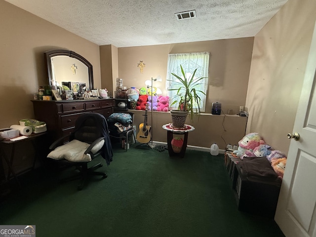650 Flippen Rd, Stockbridge, GA 30281 - miscellaneous room featuring carpet flooring and a textured ceiling