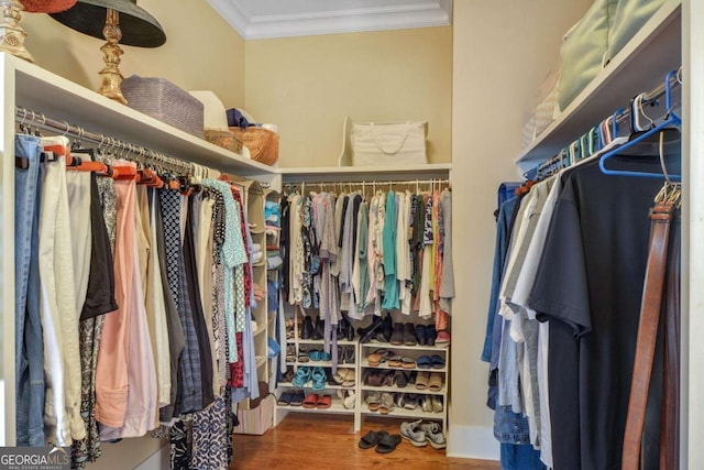 180 Shadow Wood Bnd, Saint Simons, GA 31522 - walk in closet featuring wood finished floors