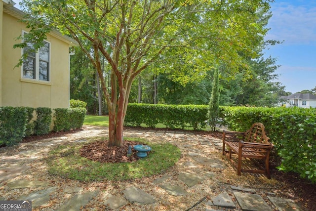 180 Shadow Wood Bnd, Saint Simons, GA 31522 - view of yard