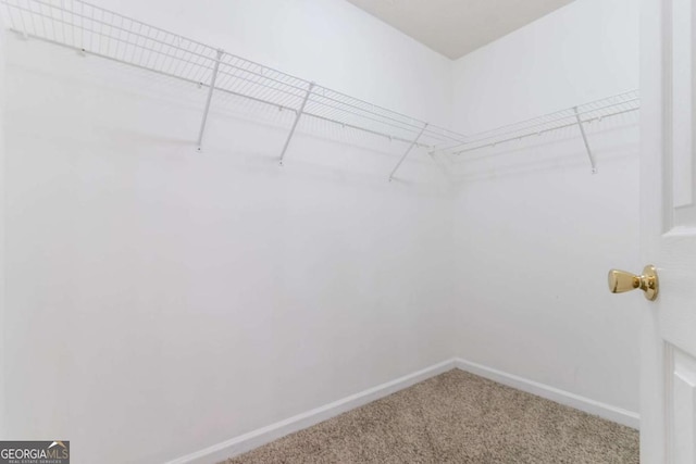 541 Shadow Valley Ct, Lithonia, GA 30058 - spacious closet with carpet flooring