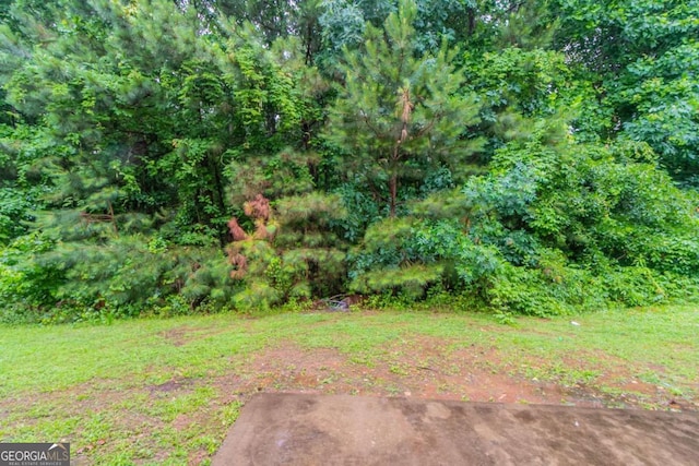 541 Shadow Valley Ct, Lithonia, GA 30058 - view of yard