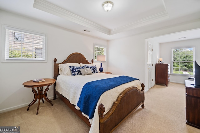 514 Augusta Dr, Canton, GA 30115 - bedroom with light carpet, ornamental molding, a raised ceiling, multiple windows, and baseboards