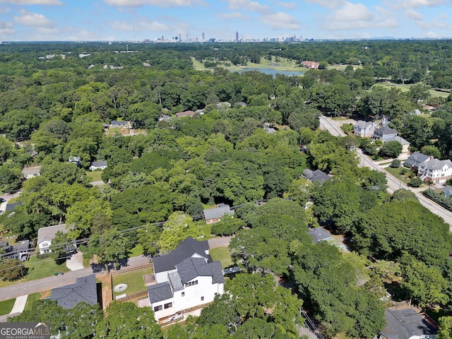 1844 Stanton St, Decatur, GA 30032 - bird's eye view of a forest and a large body of water