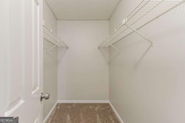 5352 Windfern Ct, Stone Mountain, GA 30088 - walk in closet with carpet flooring