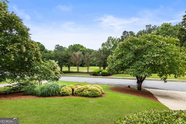 5860 Fairway View Dr, Suwanee, GA 30024 - surrounding community featuring a yard and view of scattered trees