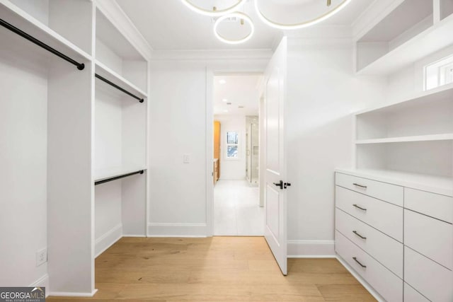 1050 Carnoustie, Greensboro, GA 30642 - spacious closet featuring light wood-style flooring