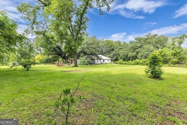 342 Chevis Rd, Savannah, GA 31419 - view of grassy yard
