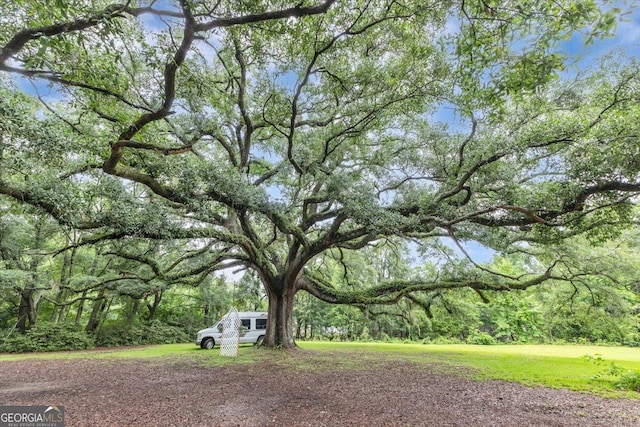 342 Chevis Rd, Savannah, GA 31419 - view of yard
