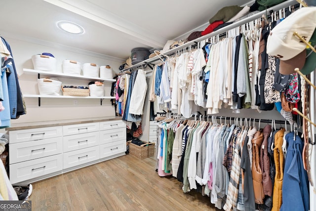 2885 Laurel Green Ct, Roswell, GA 30076 - spacious closet featuring light wood-style floors