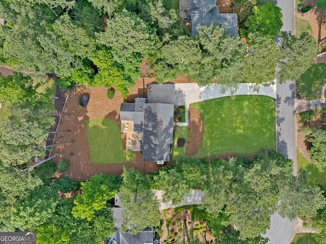 2885 Laurel Green Ct, Roswell, GA 30076 - aerial view of property and surrounding area