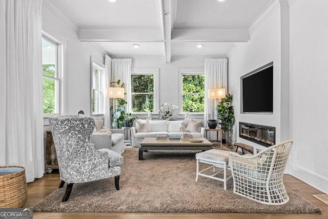 766 E Ave, Madison, GA 30650 - living room with wood finished floors, plenty of natural light, beam ceiling, recessed lighting, and crown molding