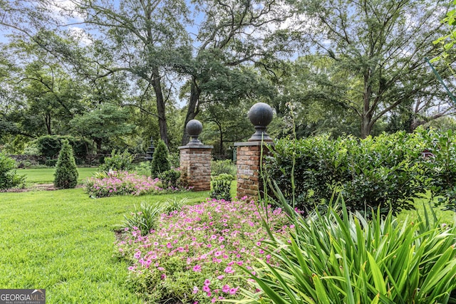 766 E Ave, Madison, GA 30650 - view of green lawn