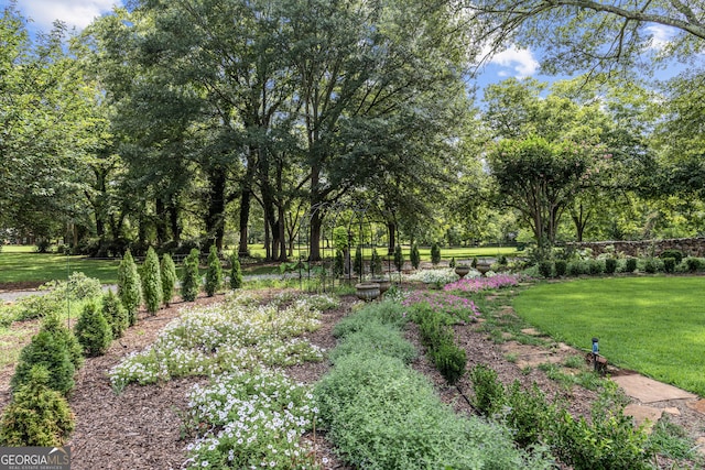 766 E Ave, Madison, GA 30650 - view of green lawn featuring view of scattered trees