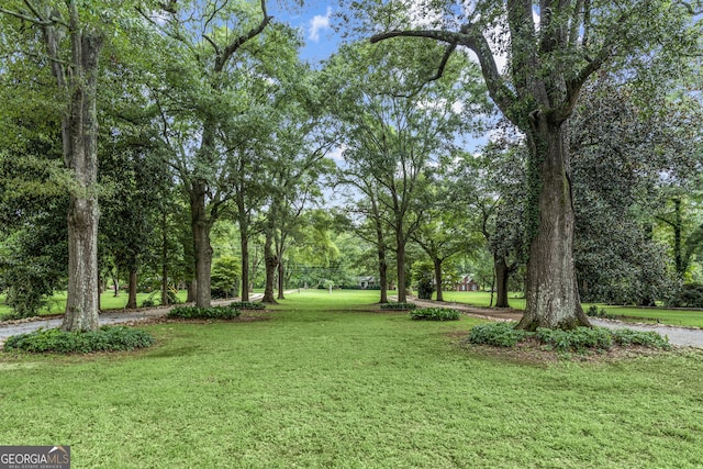 766 E Ave, Madison, GA 30650 - view of green lawn featuring view of scattered trees