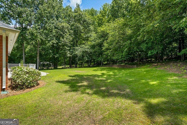 40 Costleys Bridge Dr, Oxford, GA 30054 - view of grassy yard