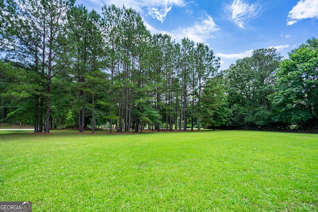 101 Crestwood Dr, Lagrange, GA 30241 - view of grassy yard