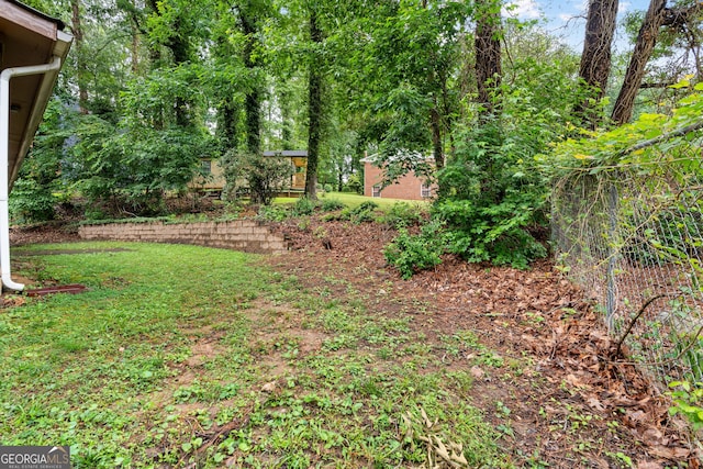 900 Fleetwood Cir SW, Atlanta, GA 30311 - view of green lawn