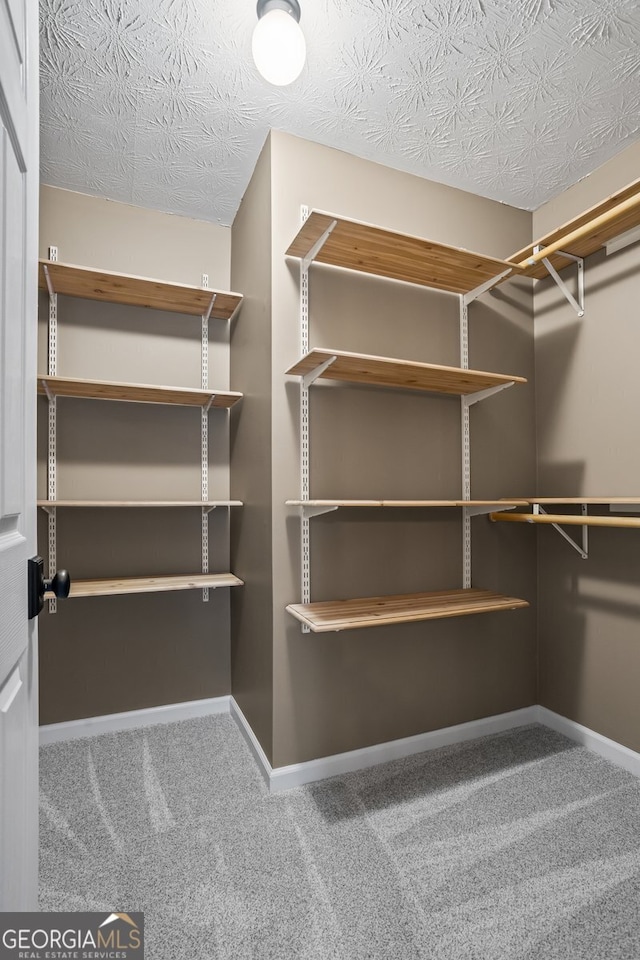 15 Livingston Way, Covington, GA 30016 - spacious closet with carpet flooring