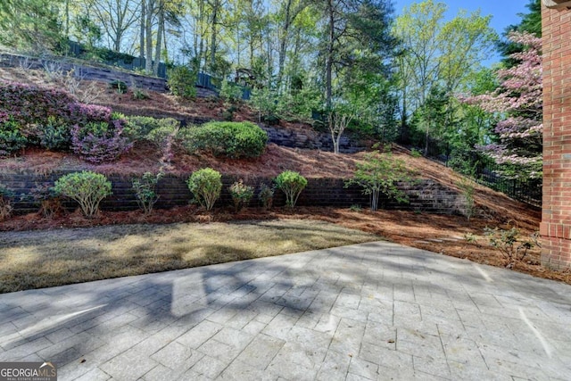 10125 Brixton Pl, Suwanee, GA 30024 - view of patio / terrace